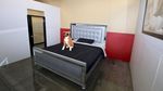 Foto: Kamar Suites Hotel Khusus Anjing