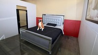 Inilah Barkingham Pet Hotel, hotel khusus anjing di California, AS. Hotel ini punya 2 tipe kamar, yaitu suites dan basic. (Barkingham Pet Hotel)