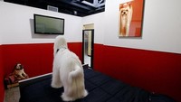 Masing-masing kamar dilengkapi dengan aneka fasilitas misalnya ranjang double bed yang nyaman, tv, dan ruangan yang luas. (Barkingham Pet Hotel)