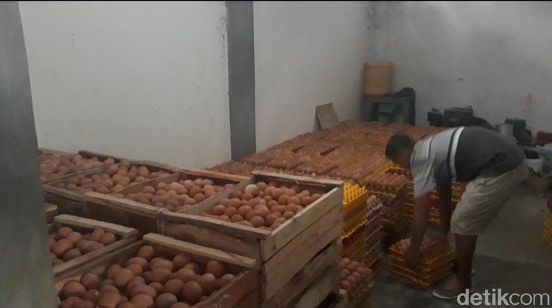 Miris, Meroketnya Harga Telur Tak Dinikmati Peternak di Magetan Miris, Meroketnya Harga Telur Tak Dinikmati Peternak di Magetan