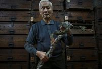 Terkenal dengan Sup Ularnya yang Lezat, Restoran Tertua di Hong Kong Ini Tutup