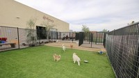 Hotel juga dilengkapi dengan area bermain. Disediakan juga kelas ketrampilan dan ketangkasan yang bisa diikuti oleh para anjing. (Barkingham Pet Hotel)