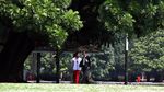 Presiden Jokowi Sambut The Flash Indonesia di Istana Bogor