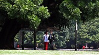 Saat berjalan di taman istana pun Jokowi tak lupa memberikan semangat dan doa untuk Zohri agar tetap dapat tampil maksimal dan kembali membanggakan Indonesia dalam perlombaan Asian Games 2018 mendatang.