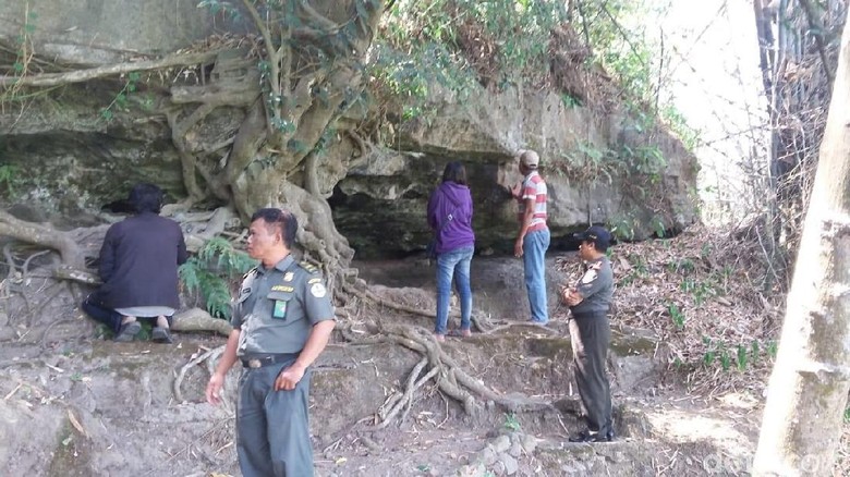 Tinjau Gua Sarang Sanca, BKSDA Yakini Ada yang Lebih Besar Tinjau Gua Sarang Sanca, BKSDA Yakini Ada yang Lebih Besar