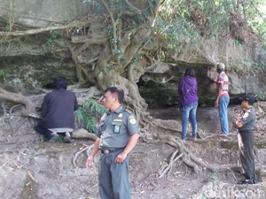 Tinjau Gua Sarang Sanca, BKSDA Yakini Ada yang Lebih Besar