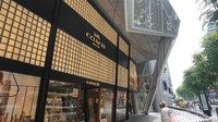 Orchard Road di Singapura jadi tempat ikonik setelah Merlion Park. Kalau tidak ingin berbelanja, traveler bisa menikmati suasana perkotaan yang rapi dan cantik di sini (Shinta/detikTravel)