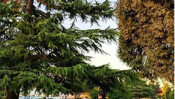 Jalan-jalan santai ala keluarga Tan. (Foto: Instagram)