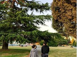 Potret Keseharian Bos Tajir Malaysia Pendiri Grab