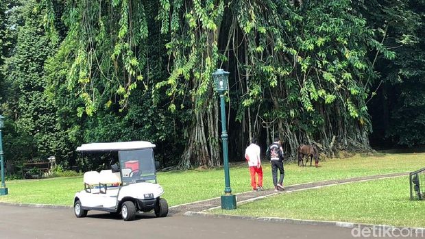 Jokowi ajak Lalu Muhammad Zohri keliling Istana Bogor