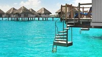 Bora Bora adalah sebuah pulau yang dahulunya adalah gunung berapi, yang kemudian tertidur dan membentuk karang penghalang. Pulau yang terletak di gugusan kepulauan Polinesia Perancis, Samudera Pasifik ini menjadi salah satu destinasi wisata laut yang paling banyak diminati karena keindahan alamnya. Ekosistem terumbu karang memungkinkan adanya air biru jernih dan gelombang batas karang yang melindungi aneka macam ekosistem laut. Istimewa/Pinterest.