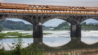 Jembatan ini berlokasi di Zhejiang, China. Istimewa/Inhabitat.
