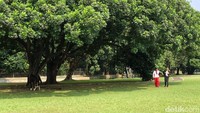 Saya berkesan diajak berkeling di Istana. Luar biasa sekali. Diajak ngobrol-ngobrol, ini ada kuda, kambing, ikan, kata Zohri 