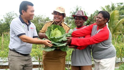 Ewindo Bina Petani Nabire