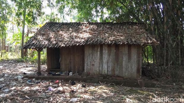 Jompo dan Sendiri, Mbah Marinem Hanya Diurus Tetangga Bergiliran