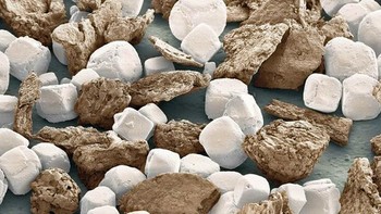 Garam dan lada. (Foto: Brightside)