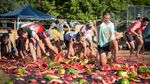 Potret Festival Ski Semangka di Australia