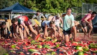 Festival ini akan diadakan kembali pada bulan Februari 2019. Kamu berani coba? (melonfest.com.au)