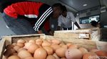 100 Ton Telur Ayam Disebar ke Jabodetabek
