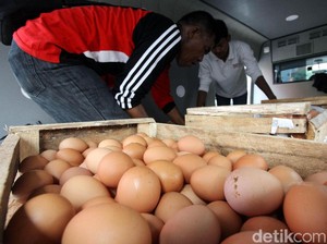 Harga Telur Tinggi, Sandi: Gerai OK OCE Jual Rp 19.500/Kg