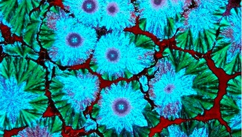 Minyak kelapa. (Foto: Brightside)