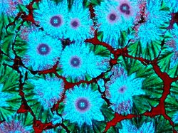 Potret Mencengangkan Benda-benda di Bawah Mikroskop