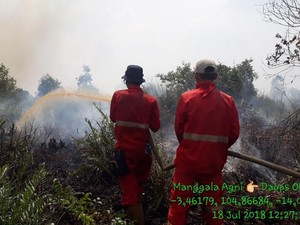 KLHK: Karhutla di Ogan Komering Ilir Berhasil Dipadamkan