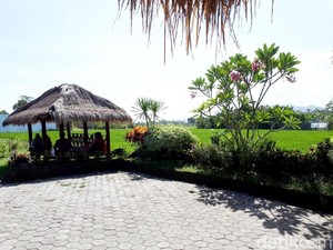 Warung Dakota: Menikmati Gurami Rajang Ditemani Hijaunya Sawah Mataram