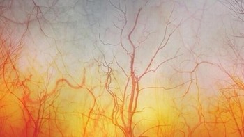 Bola mata manusia. (Foto: Brightside)