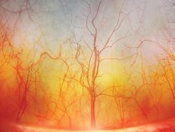 Potret Mencengangkan Benda-benda di Bawah Mikroskop