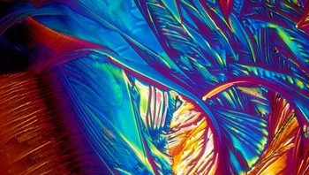 Minuman sampanye. (Foto: Brightside)