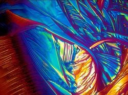 Potret Mencengangkan Benda-benda di Bawah Mikroskop