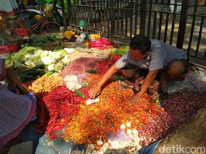 Kementan: Harga dan Pasokan Cabai Jelang Idul Adha Aman