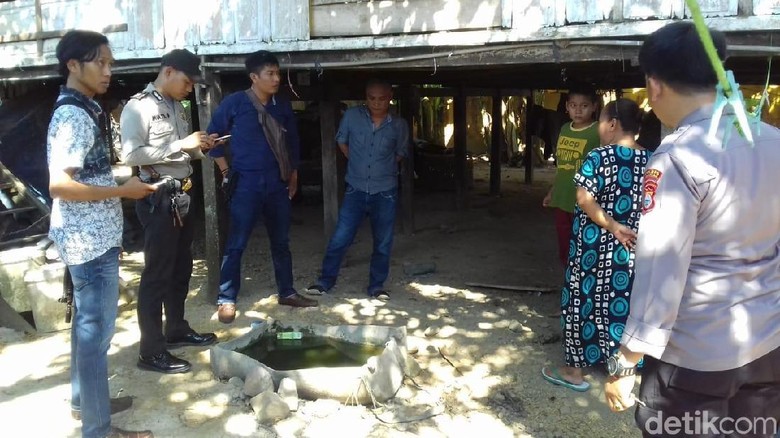 Rebutan Mangga, Anak dan Bapak di Sulsel Baku Tikam Rebutan Mangga, Anak dan Bapak di Sulsel Baku Tikam