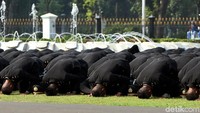 Selebrasi pertama dilakukan oleh 225 perwira TNI AD, lulusan dari Akademi Militer (Akmil) Magelang, Jawa Tengah. Secara kompak, mereka menyerukan yel-yel yang kemudian diikuti sujud syukur bersama.