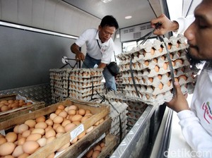 Bahas Harga Telur, Mendag Rapat Bareng Pejabat hingga Pengusaha