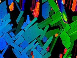 Potret Mencengangkan Benda-benda di Bawah Mikroskop