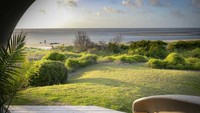 Ada halaman yang cukup luas di depan rumah ini sebelum mencapai pantai di depannya. Inhabitat/Istimewa.
