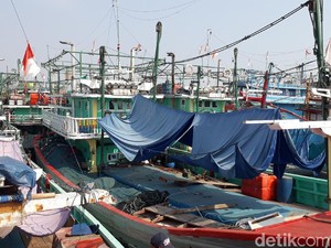 Terhambat Izin, Ratusan Kapal di Kota Tegal Tidak Bisa Melaut