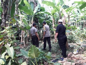 Molotov di Rumah Mardani Ali Sera Diduga Dilempar dari Kebun