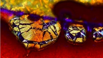 Kopi. (Foto: Brightside)