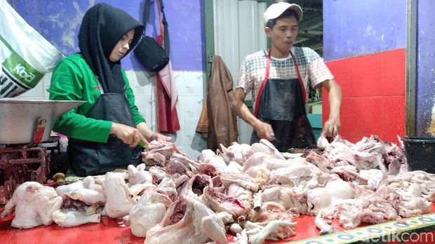 Harga ayam di Malang naik/