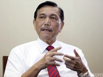 Luhut Ultimatum 700 Perusahaan Sawit Segera Laporkan Data Kebun-Izin usaha