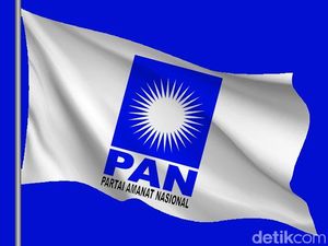 PAN Toleransi Bupati Pesisir Selatan yang Dukung Jokowi