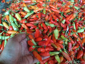 Doyan Pedas? Kabar Baik, Cabai Bisa Kurangi Persebaran Kanker Paru