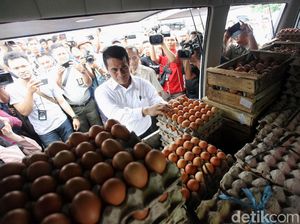 Harga Telur di Peternak Naik Rp 1.000, Bagaimana untuk Konsumen?