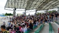 Melihat Lumba-luba Lincah di Okinawa Churaumi Aquarium