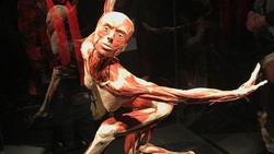 Body Worlds adalah museum berisi koleksi jenazah manusia yang sudah diawetkan. Tujuannya untuk memberikan edukasi kesehatan terutama anatomi manusia.