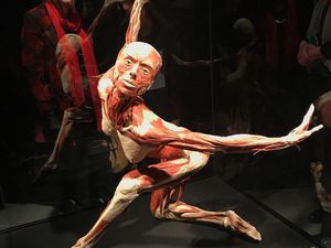 Museum Jenazah Surganya Para Pecinta Anatomi, Jangan Lihat Kalau Takut!