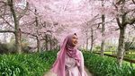 Hijabers Finalis Miss Universe Selandia Baru yang Doyan Traveling